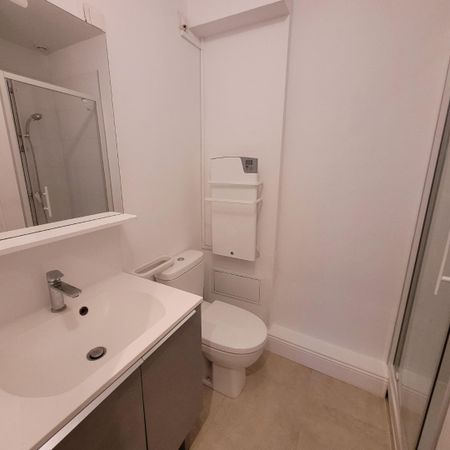 Location Appartement 1 pièce 18m² LILLE 59800 - Photo 4