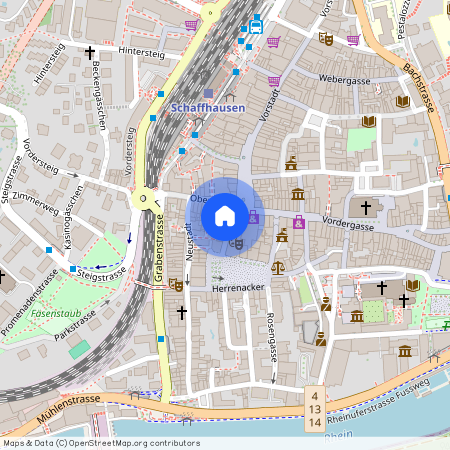 8200, Schaffhausen, Tanne, 7