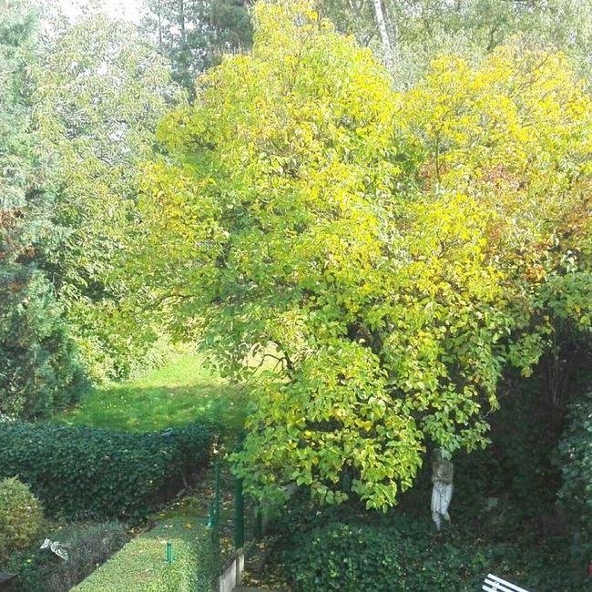 Woning te huur in Heverlee voor € 1.175 met 2 slaapkamers - Foto 1