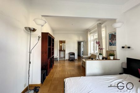 Appartement / studio de 48m² avec balcon - Toison d'Or - Foto 2