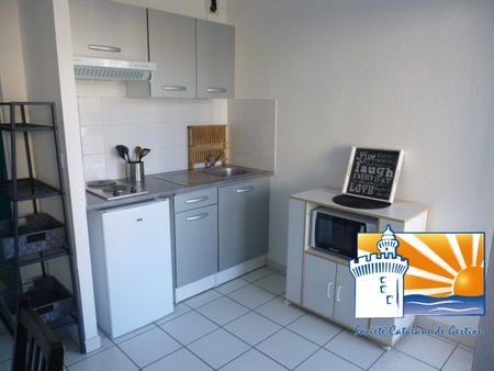 Location Appartement 1 pièce 20m² PERPIGNAN 66100 - Photo 3