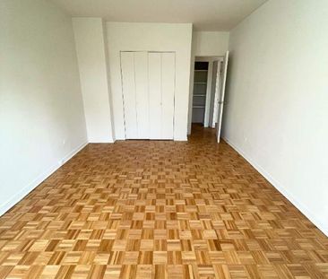 1 CH - 1 SDB - St-Laurent - $1,495 /mo - Photo 1