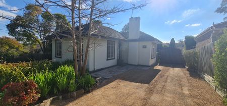 Family Comfort in the Box Hill High School Zone - Photo 4