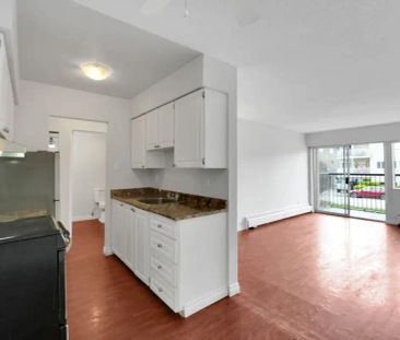 Colonial House Apartments — 1 Bedroom available at 435 Ash Street, ... - Photo 3