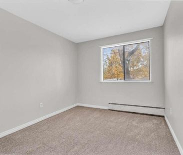 1 Bedroom - Photo 3