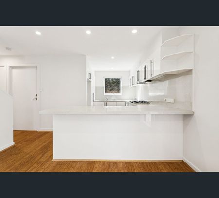 12 Ash Place, Coogee, NSW 2034 - Photo 4