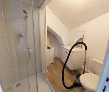 Location Appartement 1 pièce 16m² NANTES 44000 - Photo 3