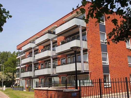 Te huur: Appartement De Vliegerstraat 34 in Alkmaar - Foto 1