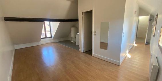 Location Appartement 1 pièce 21m² - Photo 3