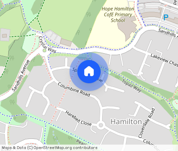 Speedwell Drive, Hamilton - Photo 1