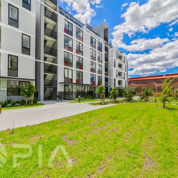 Nearly Brand New Luxury Two Bedrooms Apartment for Lease. - Photo 1