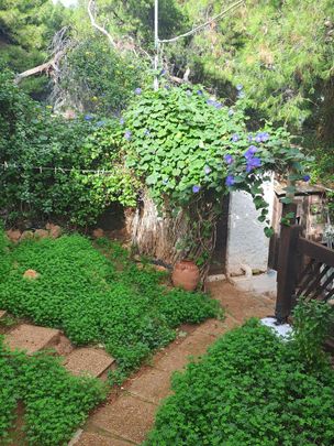 Studio/Γκαρσονιέρα για ενοικίαση Πόρτο Ράφτη (Μαρκόπουλο) - Photo 1