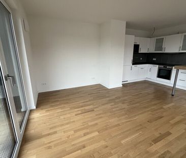 Großzügige 1 Zimmer Wohnung mit umliegender Dachterrasse in Findorff - Photo 3