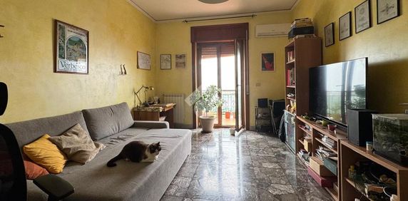 Trilocale in affitto - Photo 2