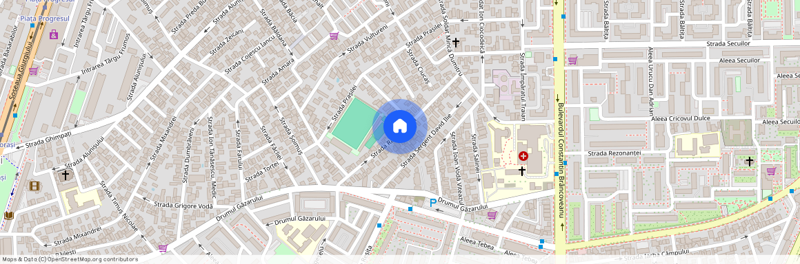 Bucuresti-Ilfov, Bucuresti