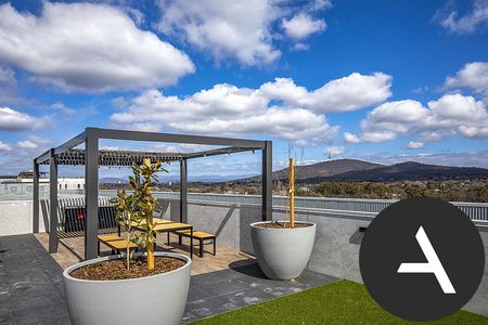 111/253 Northbourne Ave, Lyneham ACT 2602 - Apartment For Rent | Domain - Photo 3