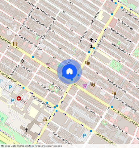 3762 Rue Saint-Dominique, Plateau-Mont-Royal, Plateau-Mont-Royal, Ile de Montréal, H2W 1Y4