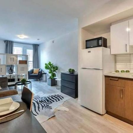 Studio - Montréal - $1,145 /mo - Photo 3