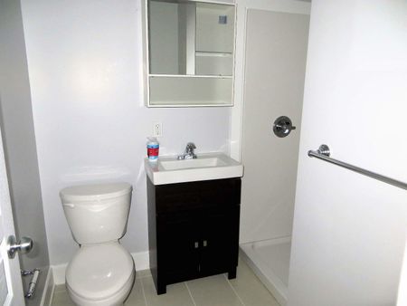103 Henderson, Sandy Hill, Ottawa, ON - Photo 5
