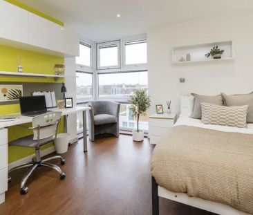 Deluxe Premium - Photo 5