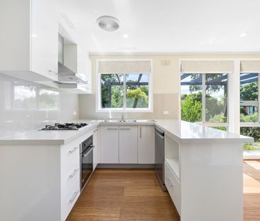 13 Carron Street, Page ACT 2614 - House For Rent | Domain - Photo 4