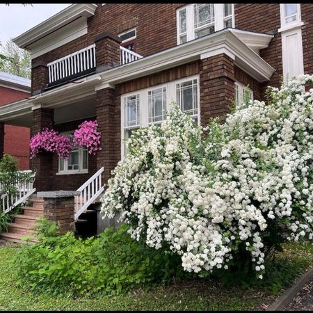 7 1/2 (2CC+bureau) sur 2 étages - Photo 3