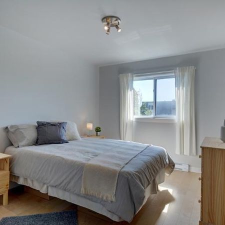 Appartement 4 ½ à louer Beauport mars 2026 - Photo 3