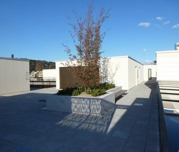 Helle 3.5-Zimmer-Wohnung - Foto 4