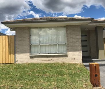 Brand New 2 Bedroom Studio Apartment! - Photo 3