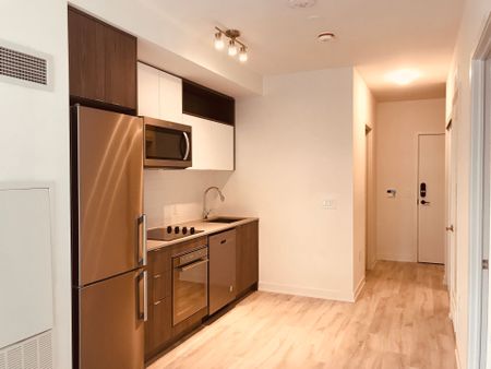 For Lease - 121 Lower Sherbourne Street Unit# 462, Toronto, Ontario - Photo 3