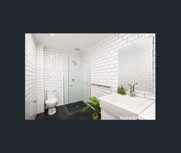 Amongst The Gum Trees - Photo 3