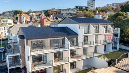 Self-Contained Inner City Apartment - Photo 3