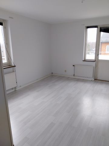 Petreplan 9B - Foto 2