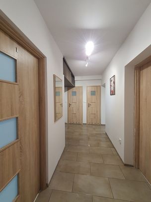 małopolskie, Kraków, aleja 29 Listopada - Photo 1