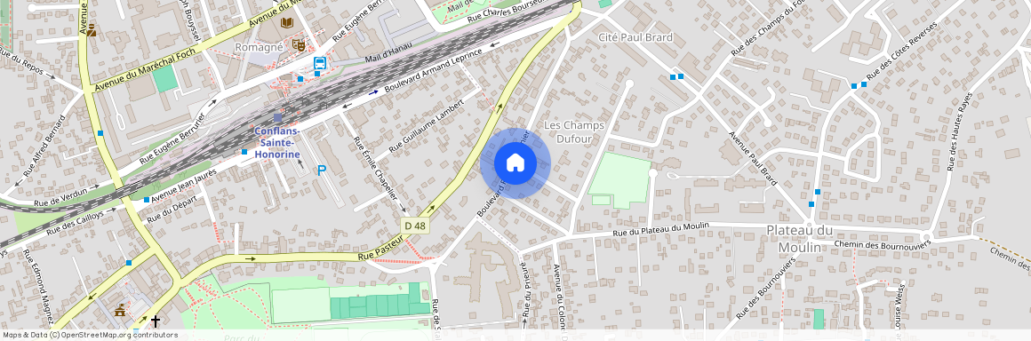 Conflans-Sainte-Honorine