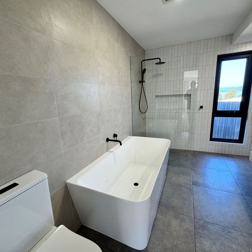 Sunny & Spacious Living in a Convenient Location - Photo 1