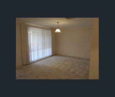 Spacious 5 x 2 home with exceptional outdoor entertaining area!!! - Photo 4