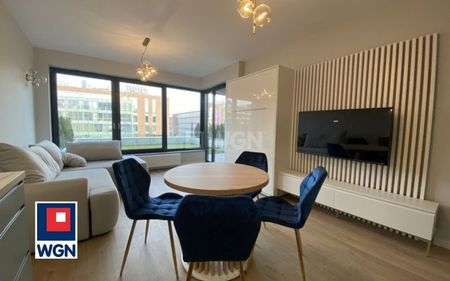 Mieszkanie na wynajem Szczecin - Crocus Hill 2 pokoje z ogródkiem - Photo 3