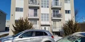 56 Rue Lucien-Brault (Gatineau) Très Beau Logement De 2 Cc - Photo 3
