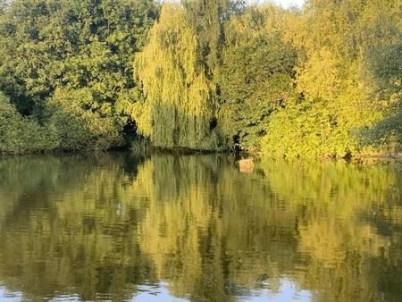 1 Bed Flat, Langton House, SW16 - Photo 2