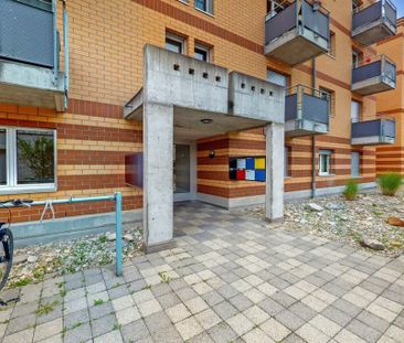 3.5 Zimmer, 69 m², 4. Stock - Photo 1