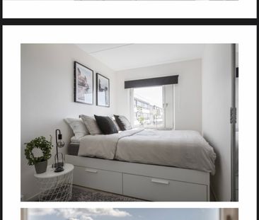 Statistgatan, Malmö - Foto 2