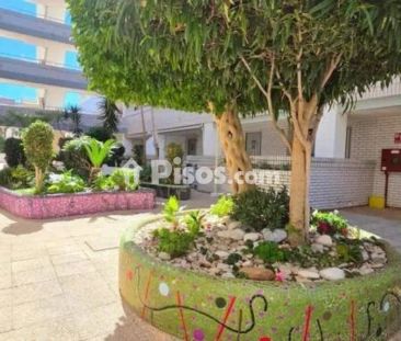 Piso en alquiler en Marina D'Or - Photo 6