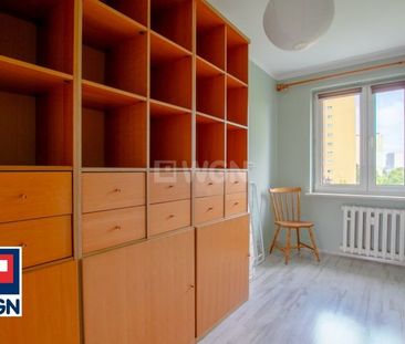 Mieszkanie na wynajem Poznań - Na wynajem mieszkanie 3 pokoje | os.... - Photo 3