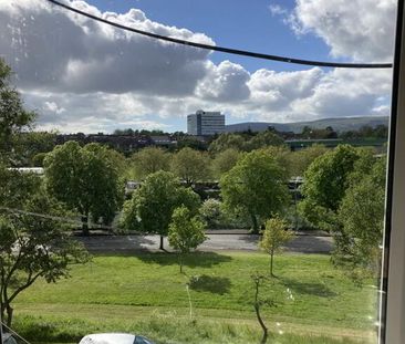 107 Annadale Flats, Belfast, BT7 3AY - Photo 5