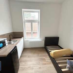 Location Appartement 1 pièce 15m² FAMARS 59300 - Photo 2