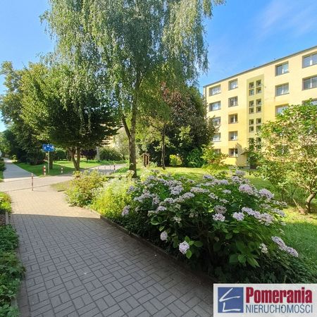 Pomorzany, ul. Budziszyńska - Фото 5