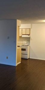 1 Bedroom on Kits Point - Photo 3