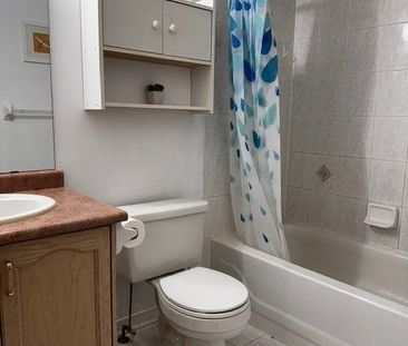 For Lease - 21 Baltic Street, Richmond Hill, Ontario - Photo 4