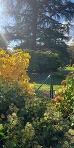 6P/ GROUND FLOOR APARTMENT - Foto 4